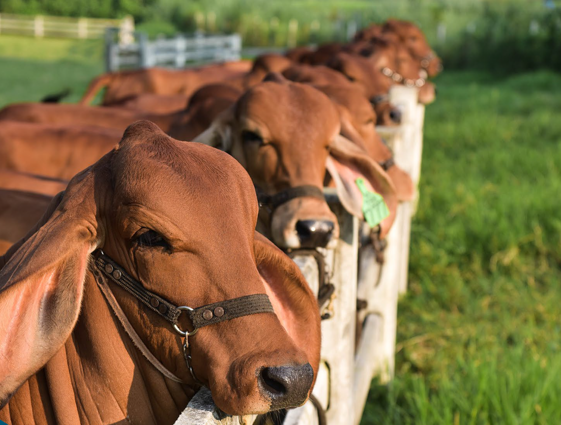 Why Climate Solutions Need Farmers, Scientists and Everyday Australians