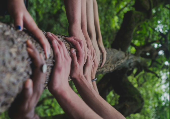 The Power of Collective Action: How Small Changes Create Big Climate Impact 