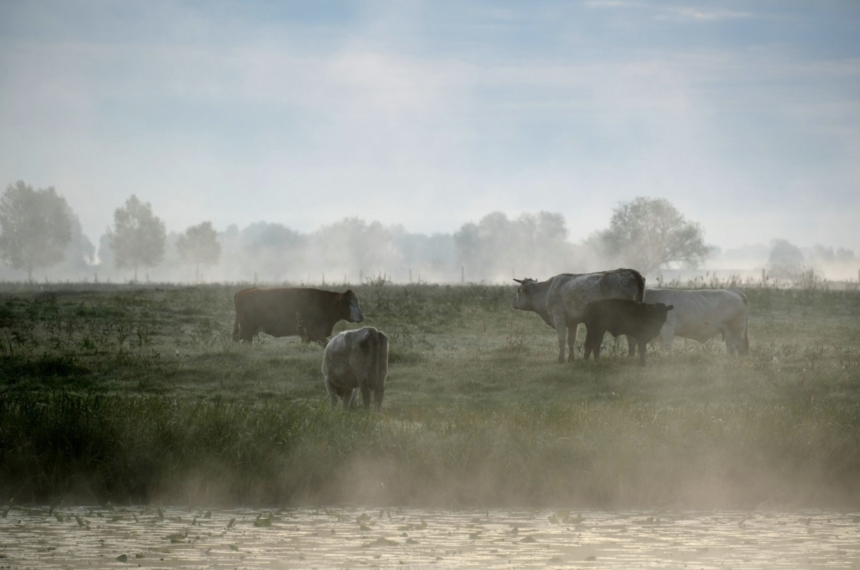 The Hidden Carbon Cost of Keeping Warm This Winter 