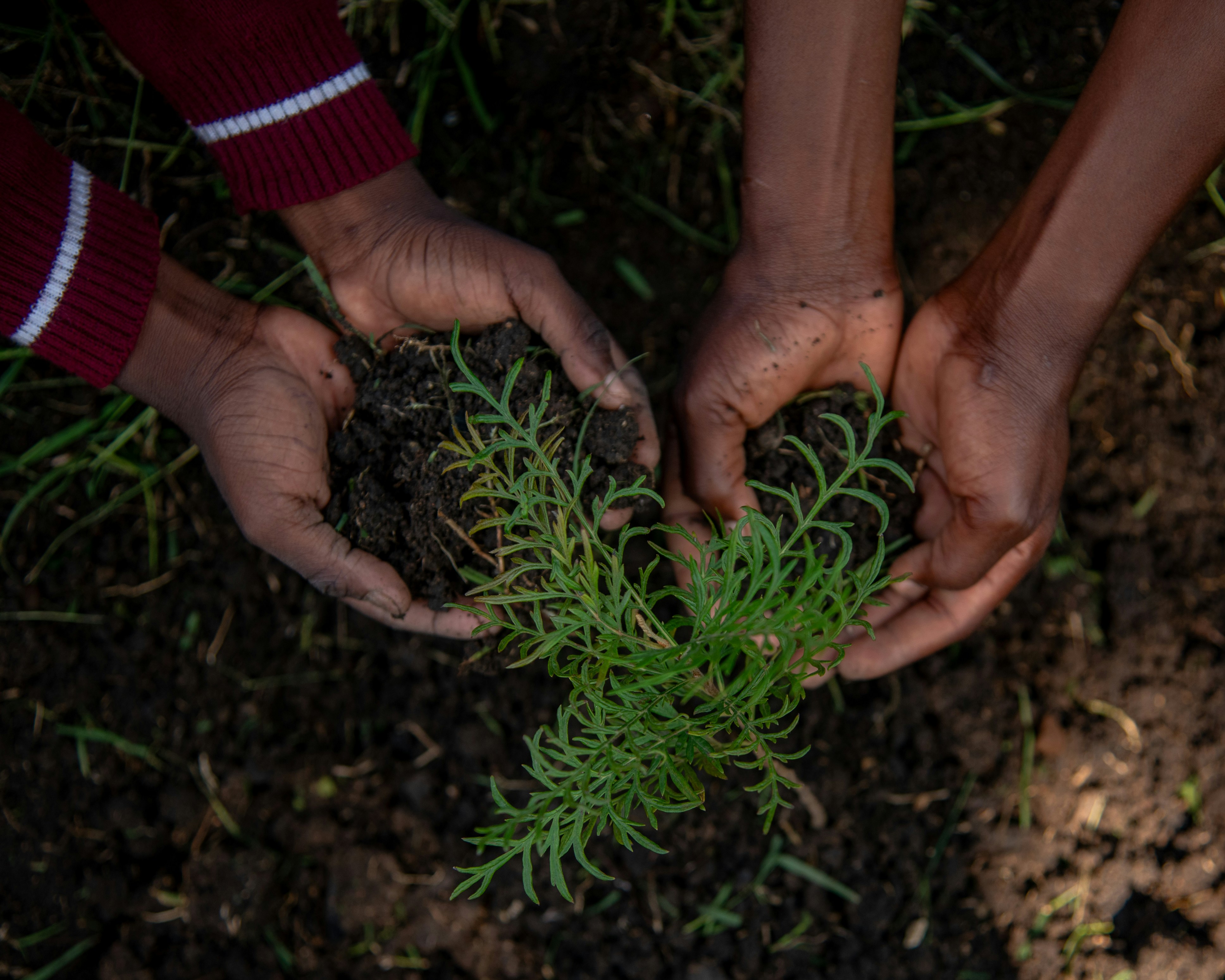 You Can't Fix Climate Change Alone. Lucky we’re in this together.